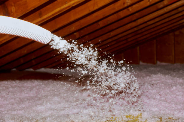 Best Types of Insulation in Wesley Chapel, NC