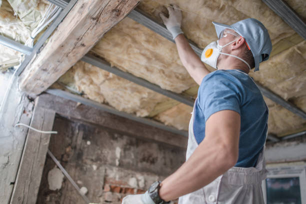 Best Insulation Installation Services in Wesley Chapel, NC