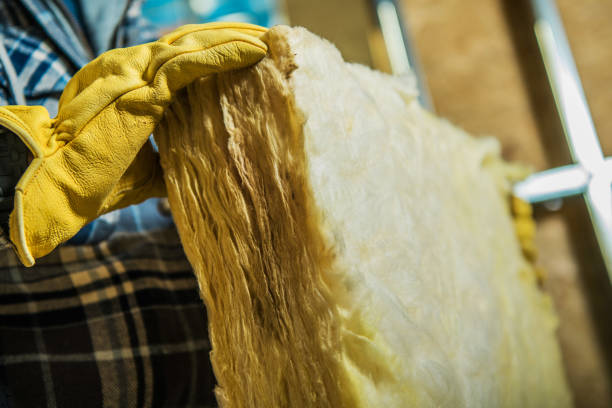 Best Residential Insulation in Wesley Chapel, NC